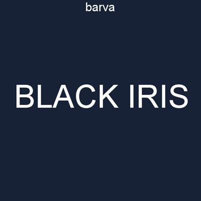 Pančuchové nohavice MICRO tights BLACK IRIS